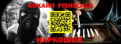 стафф Гай