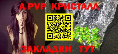 стафф Гай