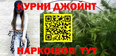 стафф Гай