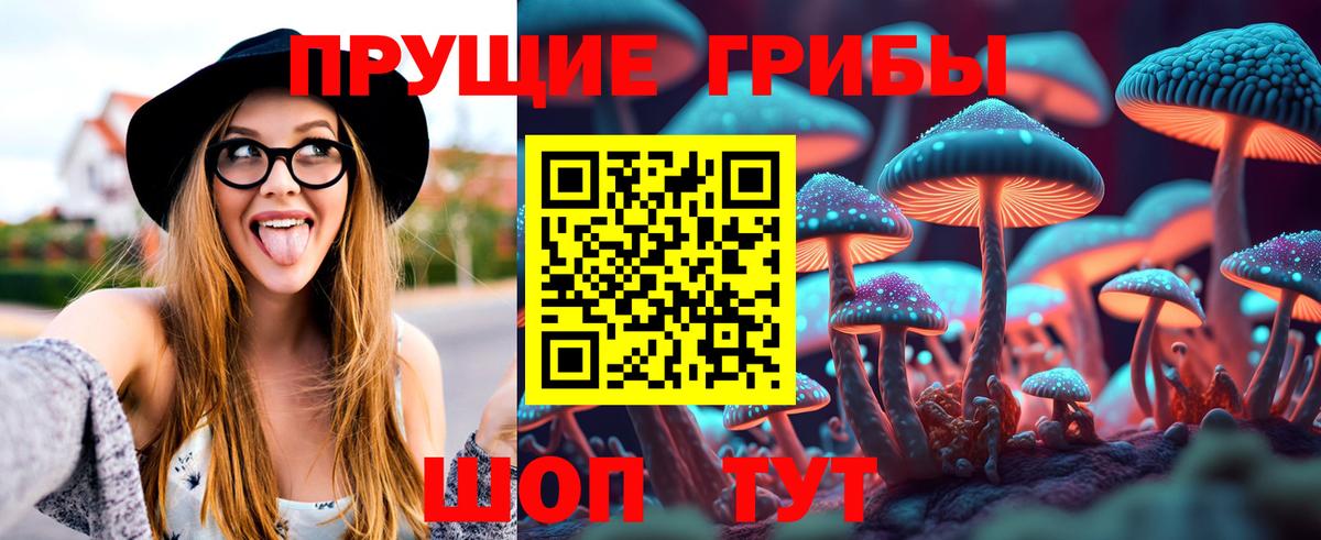 Галлюциногенные грибы Psilocybe Нижний Тагил