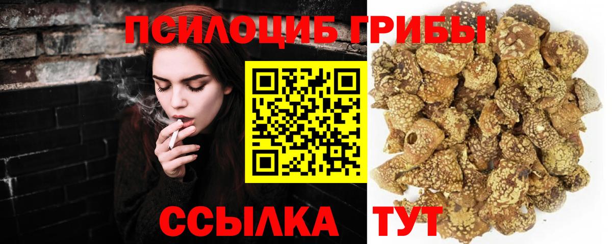 Галлюциногенные грибы Psilocybe  Вход с VPN  Нижний Тагил 